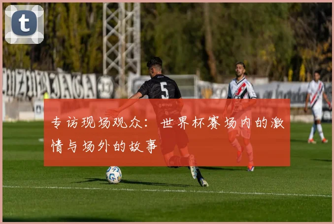 专访现场观众：世界杯赛场内的激情与场外的故事