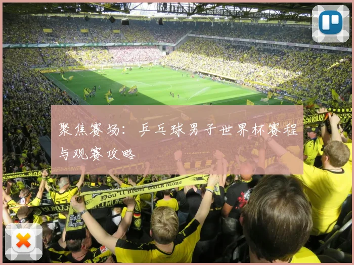 聚焦赛场：乒乓球男子世界杯赛程与观赛攻略