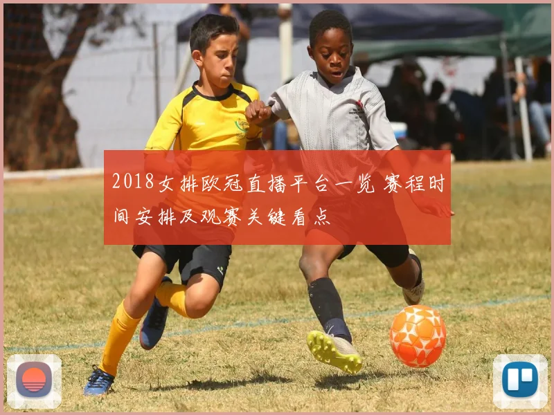 2018女排欧冠直播平台一览 赛程时间安排及观赛关键看点